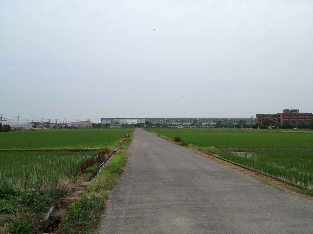 20130613-055502.jpg