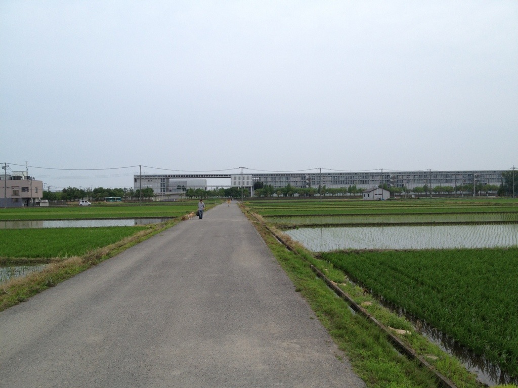 20130613-055518.jpg