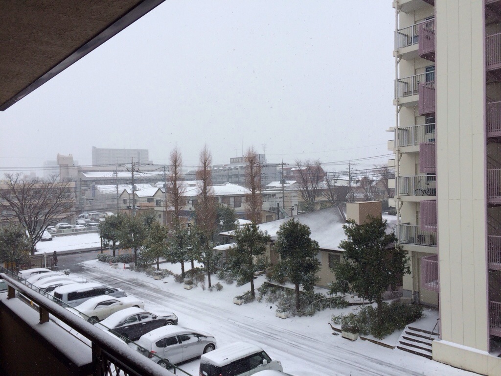 20140208-175135.jpg
