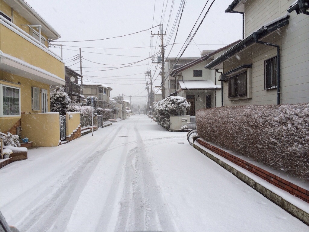 20140208-175225.jpg