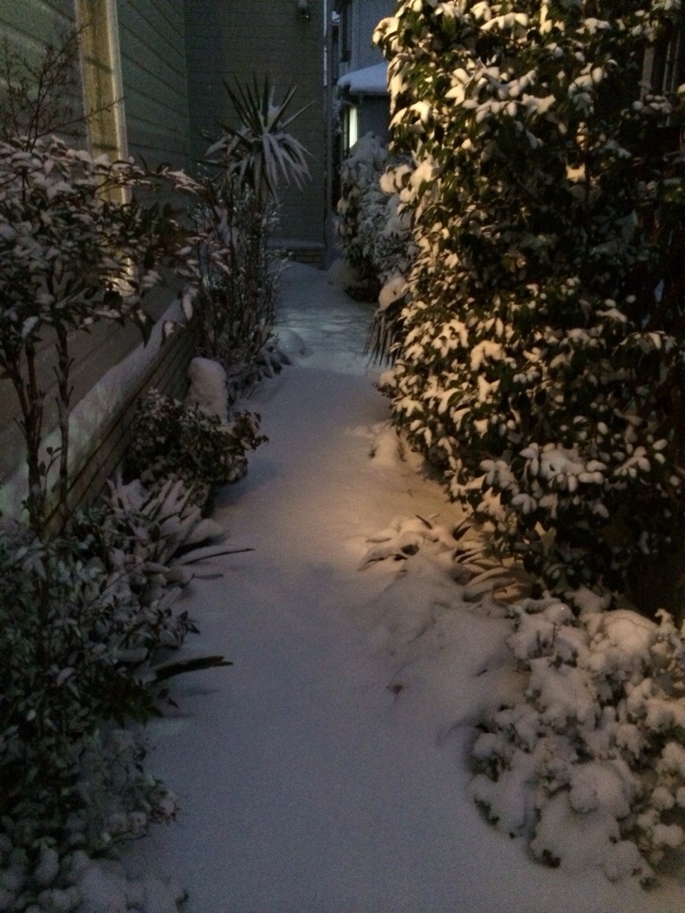 20140208-175344.jpg