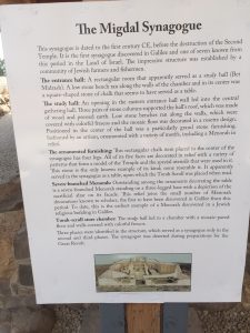 IMG_5515.JPG